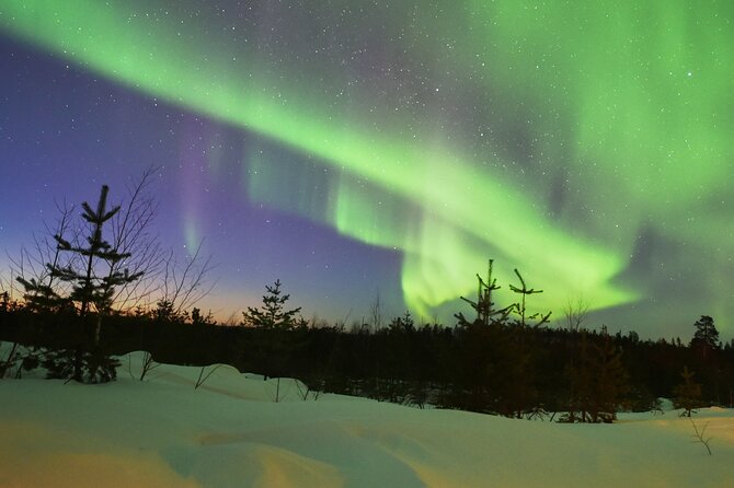 Lapland In A Day - Reindeer, Sledding, Snowmobile & Nature - Firelight, Hot Drinks, And Lappish Snacks