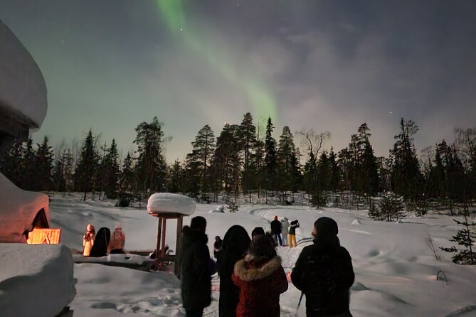 Lapland In A Day - Reindeer, Sledding, Snowmobile & Nature - What Happens If The Northern Lights Appear