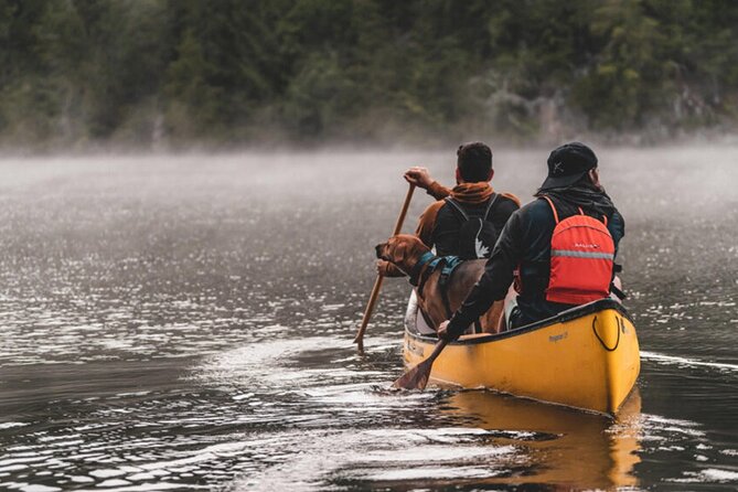 Lapland Kayak Adventure in Rovaniemi - Is the $120.41 price fair?