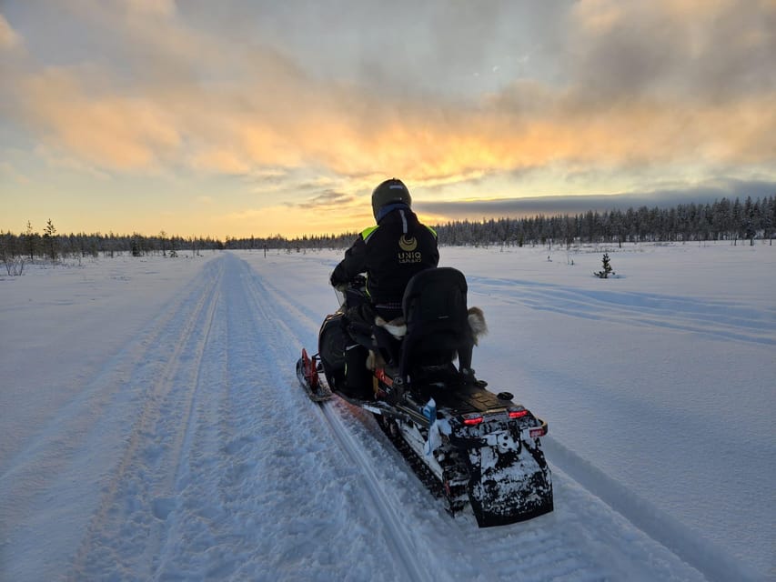 Lapland: Private Snowmobile Safari with arctic Local Guide - The Gear Makes a Real Difference