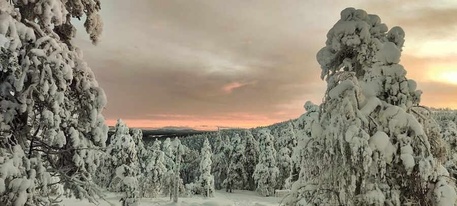 Lapland: Private Snowmobile Safari with arctic Local Guide - Learning the Snowmobile Without Pressure