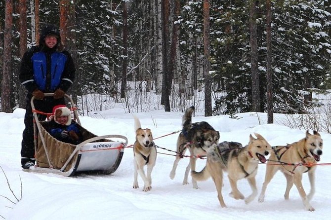 Lapland Reindeer and Husky Safari from Levi - Two Lapland animals, two very different rides