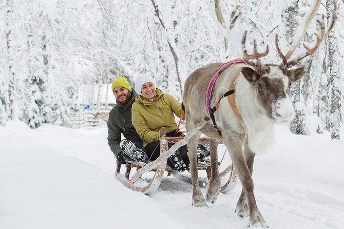 Lapland Reindeer and Husky Safari from Levi - Meeting the huskies and taking the sled