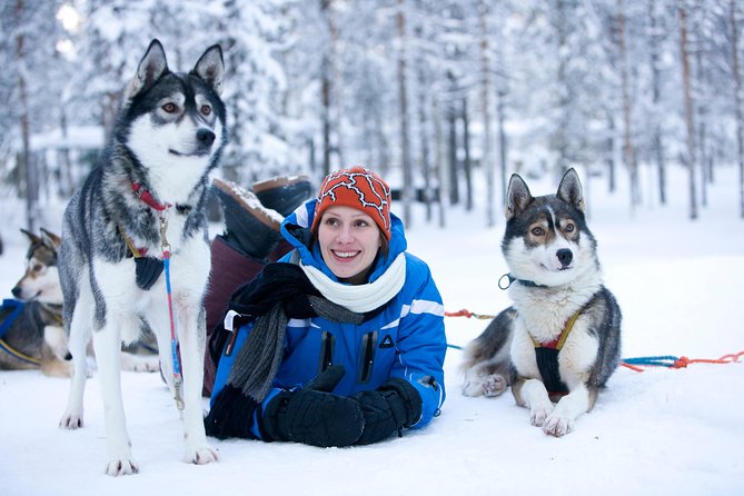 Lapland Reindeer and Husky Safari from Rovaniemi - Two Lapland traditions, one efficient morning