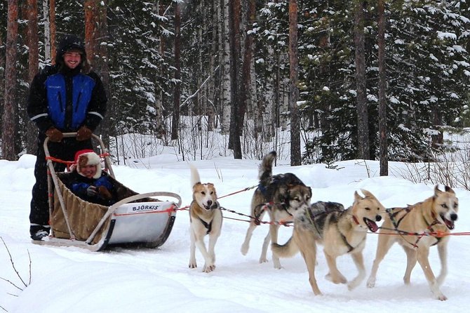 Lapland Reindeer and Husky Safari from Rovaniemi - What the guides add to the day