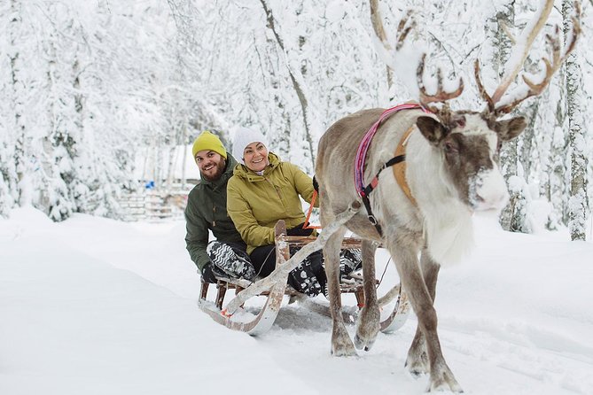 Lapland Reindeer and Husky Safari from Rovaniemi - When the season affects the reindeer ride