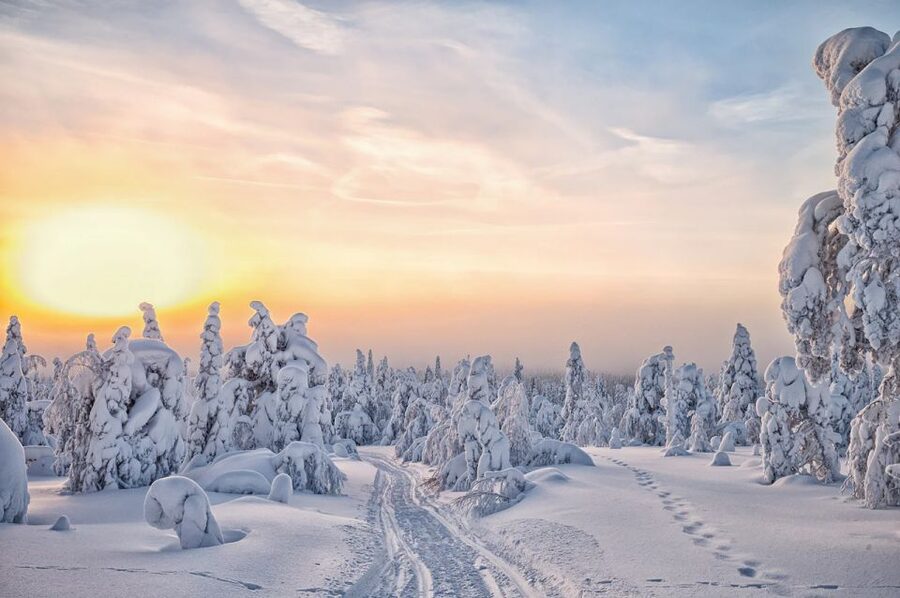 Lapland: The Frozen Waterfalls of Korouoma Tour - A Lappish lunch beside the fire
