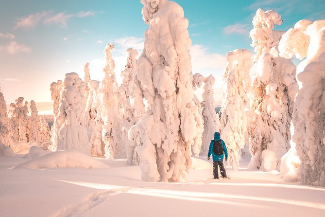 Lapland Winter Experience - Key points to know before booking