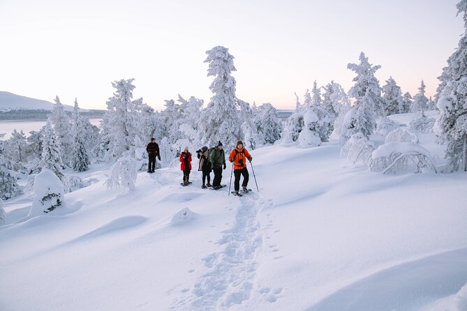 Lapland Winter Experience - A frozen river, forest views, and a useful sense of place