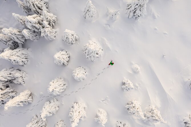 Lapland Winter Experience - The campfire stop is more than a snack break