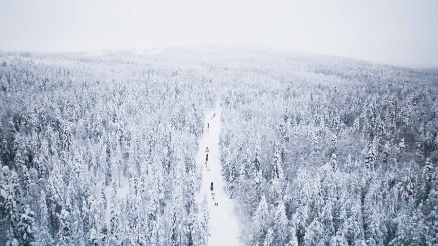 Levi: 15-Kilometres Self-Driving Husky Tour - How the 15-kilometre sled ride works