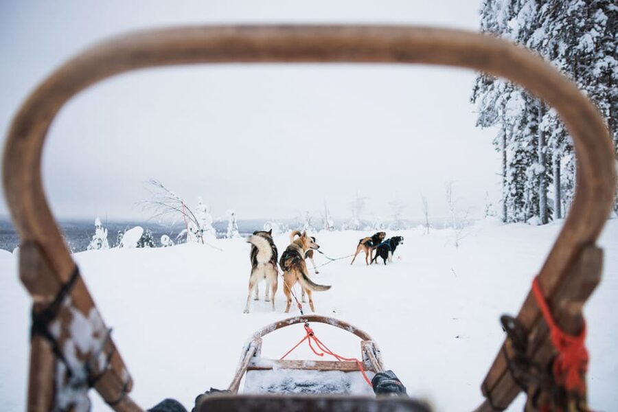 Levi: 15-Kilometres Self-Driving Husky Tour - The hot drink at the end