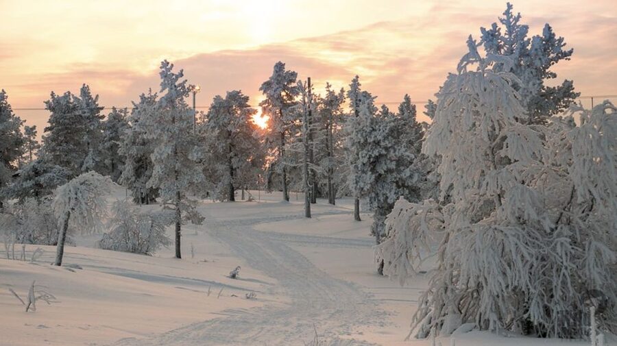 Levi: 4 Hour Snowmobile Safari to the Fells in Levi - The first 105 minutes through snowy forest and open swamp