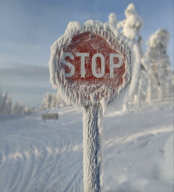 Levi: 4 Hour Snowmobile Safari to the Fells in Levi - Who should book this safari?