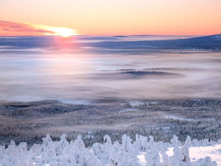 Levi: 4 Hour Snowmobile Safari to the Fells in Levi - Practical ways to make the ride better