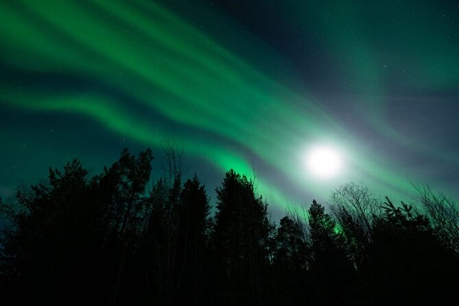 Levi: Aurora Borealis Tour and Stargazing Experience - Who will enjoy this Levi night out