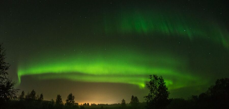 Levi: Evening Husky Sled Ride under the Northern Lights - An hour through Levi’s snowy forest
