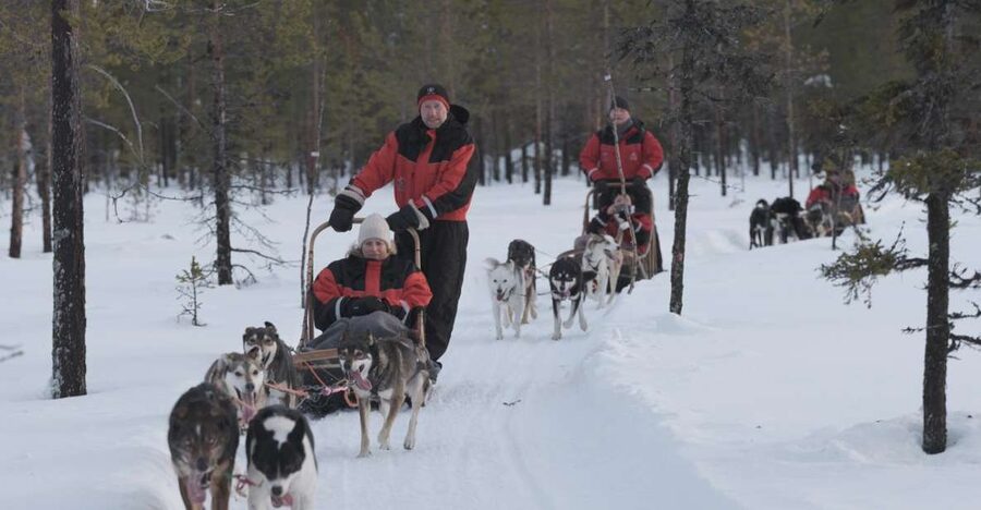 Levi: Evening Husky Sled Ride under the Northern Lights - A ten-minute briefing before the dogs take over