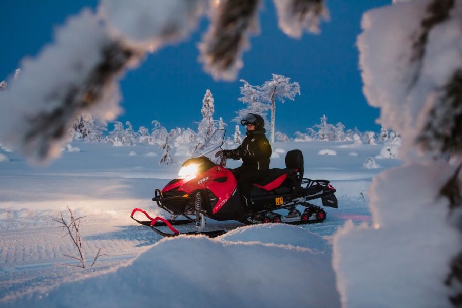 Levi: Evening Snowmobile Safari - Forest tracks, frozen lakes, and the night sky