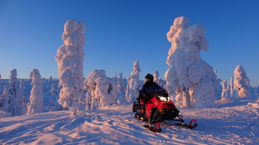 Levi: Evening Snowmobile Safari - Guides make the difference