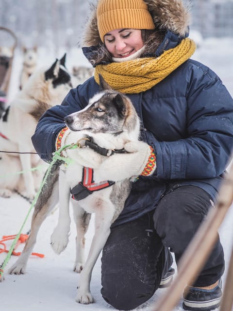 Levi: Guide-driven Husky Safari - The main issue: how much sled time do you get?