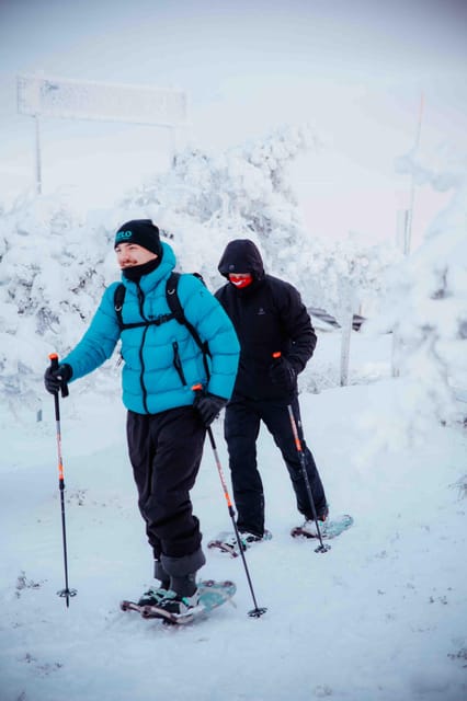 Levi: Guided Snowshoeing Adventure - Forests, frozen lakes, and open hill views