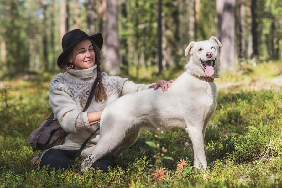 Levi: Horse and Husky Farm Visit with Juice and Cookies - The huskies are the main event