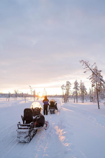 Levi: Husky and Reindeer Farm Visit with Snowmobiling - The Alaskan Huskies in action