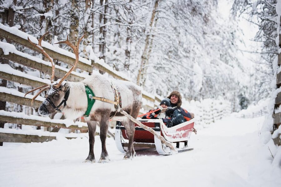 Levi: Husky and Reindeer Farm Visit with Snowmobiling - Getting ready for the one-hour snowmobile safari