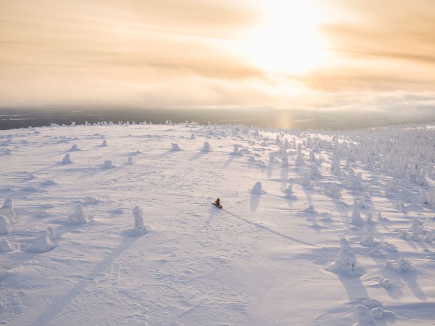 Levi: Ice Fishing by Snowmobile - The ride from Levi into the Arctic forest