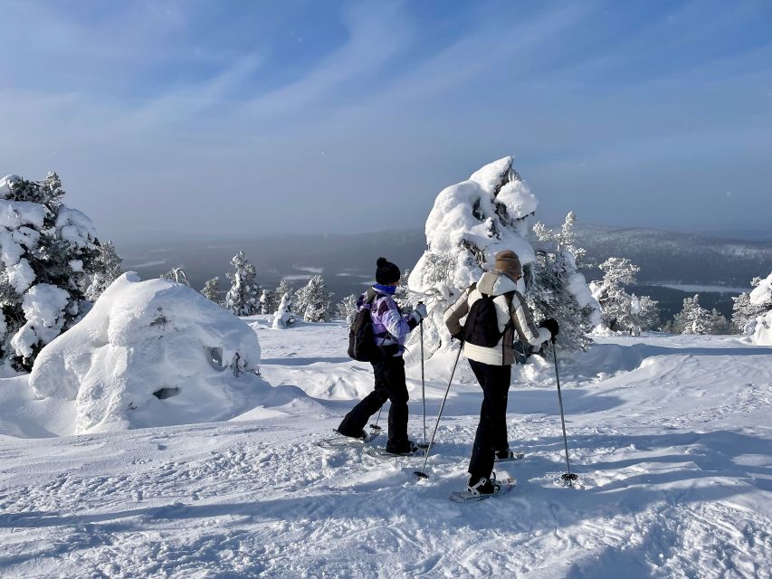 Levi: Lakeside forest snowshoeing - Practical tips for a better outing