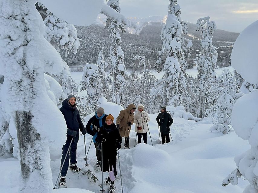 Levi: Lakeside forest snowshoeing - 1.5 hours through Sirkka’s winter forest