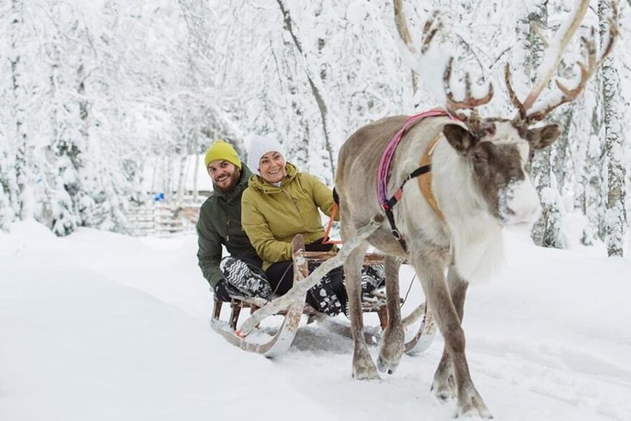 Levi: Lapland Reindeer and Husky Safari - Key points at a glance