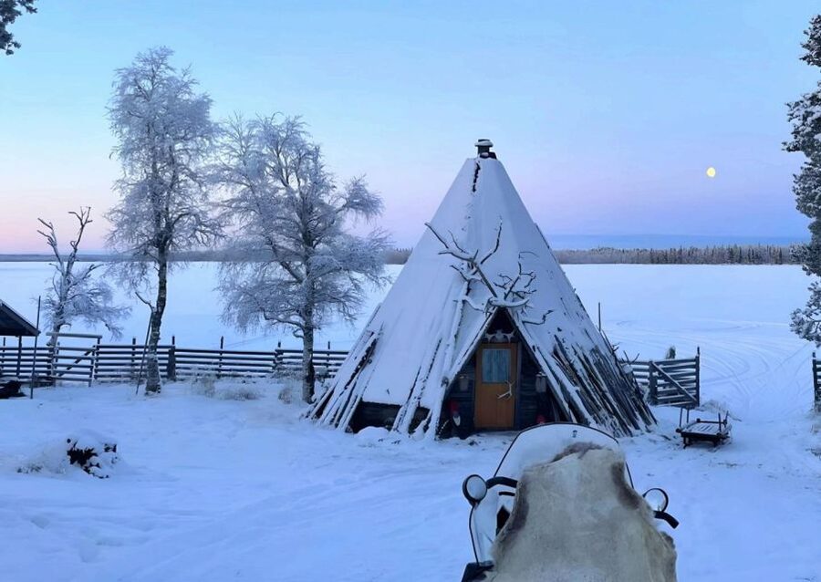 Levi: Lapland Reindeer Safari - Key things to know before booking