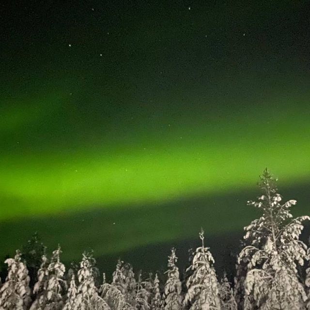 Levi: Northern Lights Hunt Including Campfire Snacks - Key points to know before booking