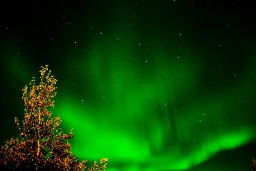 Levi: Northern Lights Hunt Including Campfire Snacks - Group size and guide quality