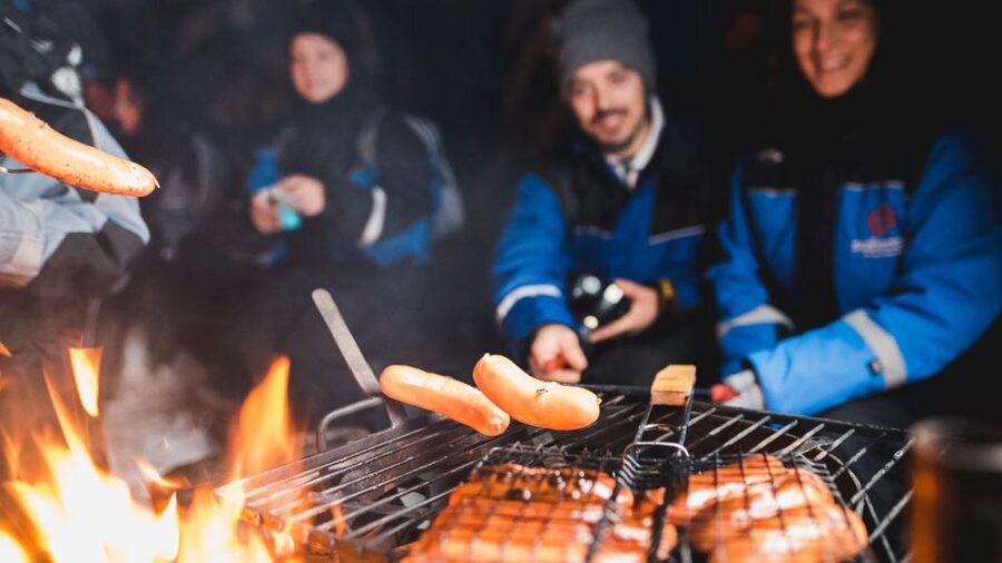 Levi: Northern Lights Snowmobile Tour with Snacks and Drinks - What the shared snowmobile setup means