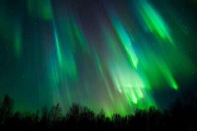 Northern Lights Tour with Guaranteed Sightings