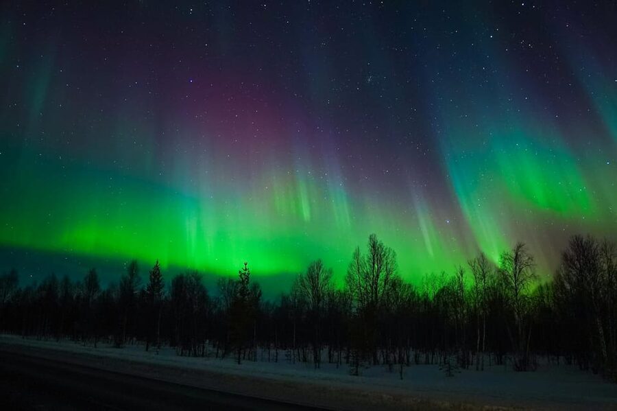 Levi: Northern Lights Tour with Guaranteed Sightings - Is $211 good value for eight hours?