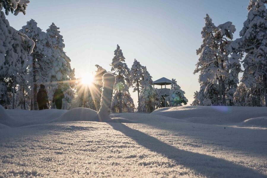 Levi: Pallas National Park Adventure with Pro Photos & BBQ - Key points to know before you book
