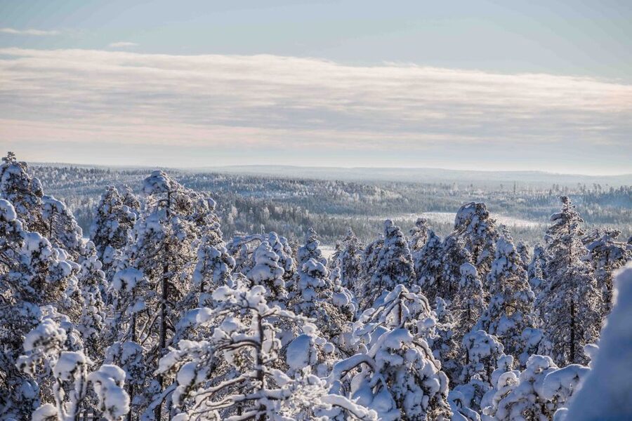 Levi: Pallas National Park Adventure with Pro Photos & BBQ - What the five-hour timing really includes