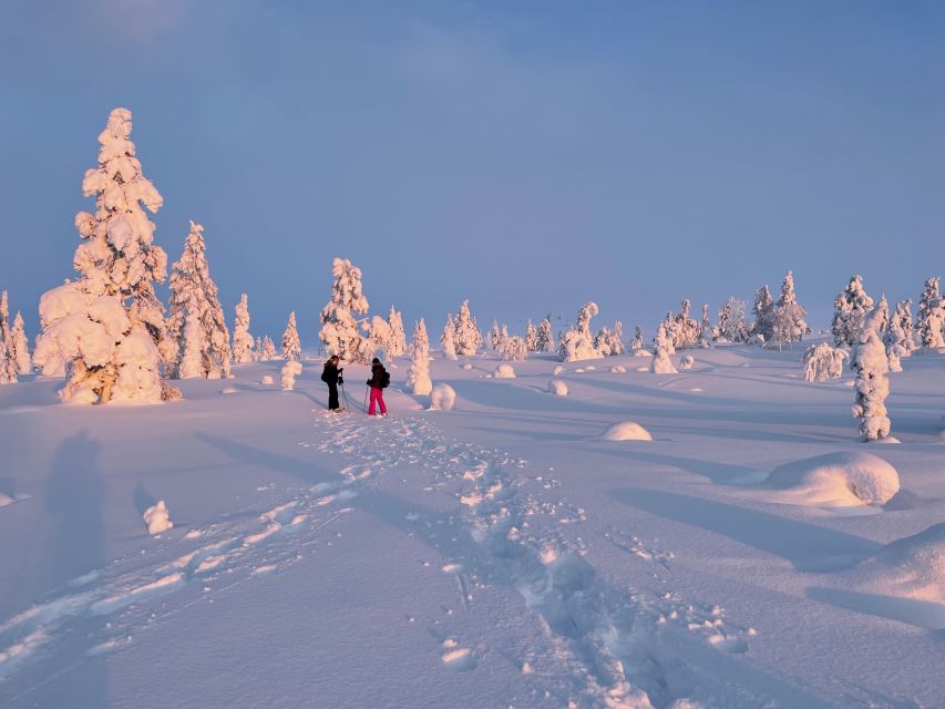 Levi: Pallas-Yllästunturi National Park Snowshoeing Tour - Second hike: one more hour outside