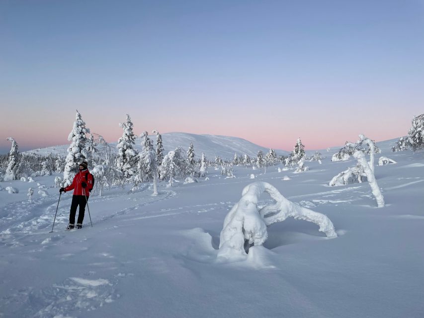 Levi: Pallas-Yllästunturi National Park Snowshoeing Tour - Who will enjoy this trip most