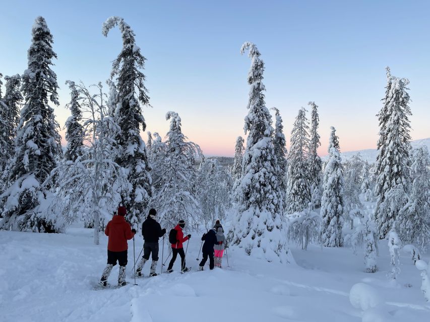 Levi: Pallas-Yllästunturi National Park Snowshoeing Tour - How to prepare for a comfortable day