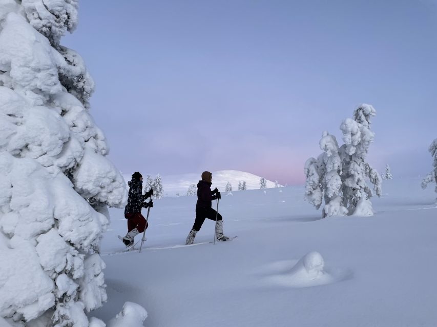 Levi: Pallas-Yllästunturi National Park Snowshoeing Tour - The 45-minute ride from Levi