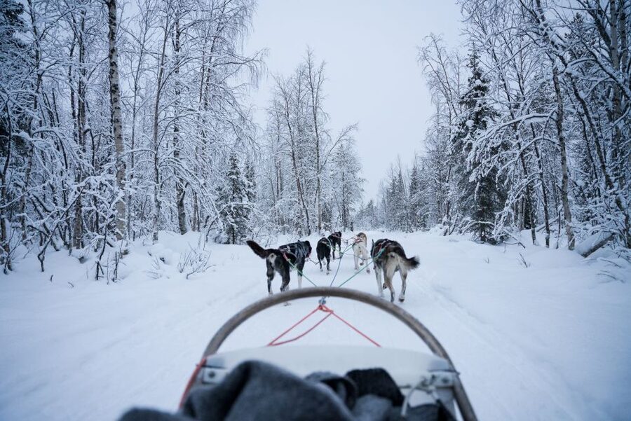 Levi Polar Lights Tours: Arctic Circle Guided Husky Tour - Hot juice, a snack, and a warm finish