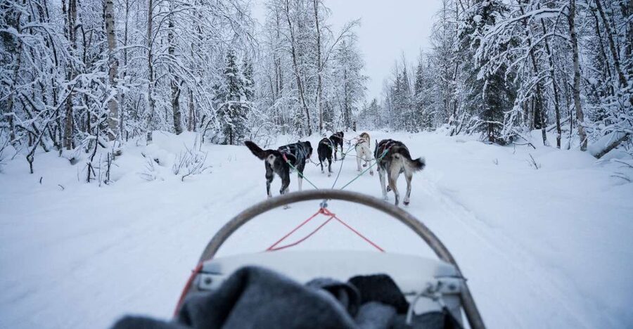 Levi Polar Lights Tours: Arctic Circle Guided Husky Tour - The husky ride and the 5-kilometer route