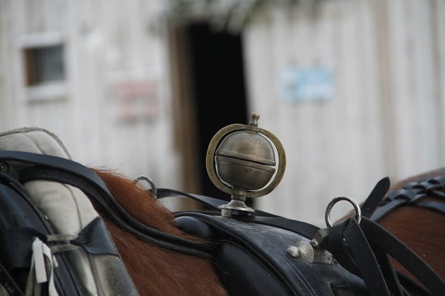 Levi, Polar Lights Tours: One Horse Open Sleigh Ride - Key points to know before booking