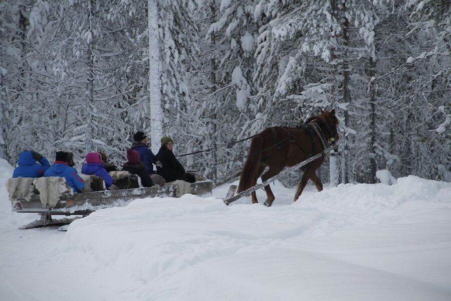 Levi, Polar Lights Tours: One Horse Open Sleigh Ride - Understanding the timing and transfers