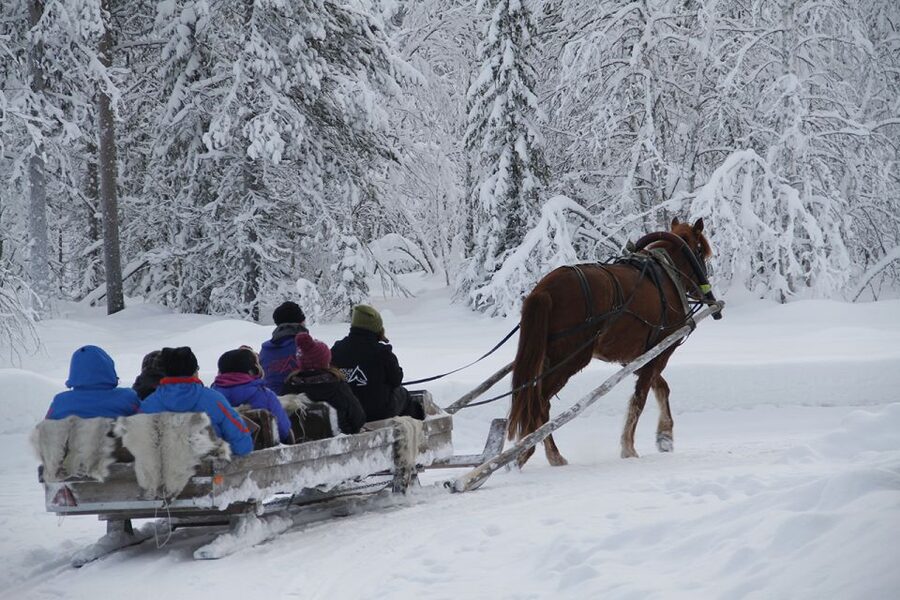 Levi, Polar Lights Tours: One Horse Open Sleigh Ride - What the 30-minute sleigh ride feels like